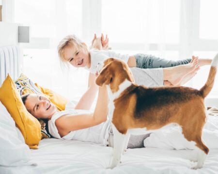 affectionate baby beagle bed bedtime carefree caucasian child childhood connection cuddling cute t20 ompjR8